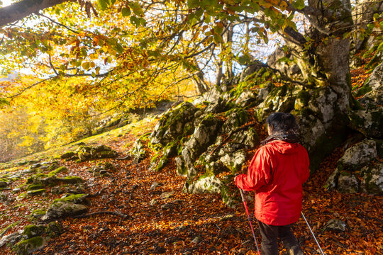 Woman hiking in autumn at Gorbea Natural Park