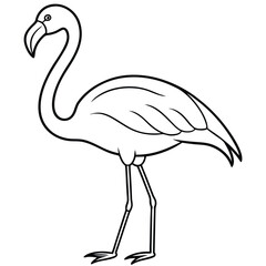 Obraz premium beautiful flamingo bird vector on white 