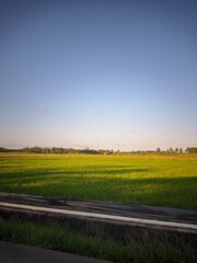 rural landscape with a field and blue sky