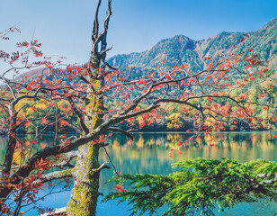 赤いナナカマドの実と湯の湖