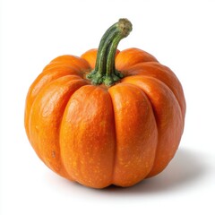 Small orange pumpkin with green stem on white background