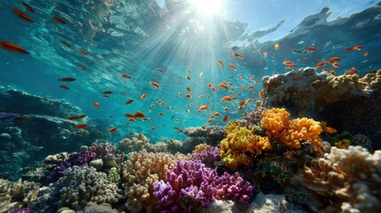 Obraz premium Vibrant coral reef teeming with fish (2)