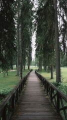 Obraz premium Wooden path through a forest