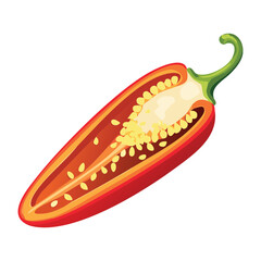 Red Chili Pepper Halved Showing Seeds - Vector Illustratio