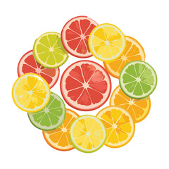 Fresh Grapefruit Lemon Orange Lime Collage - Vector Illustration
