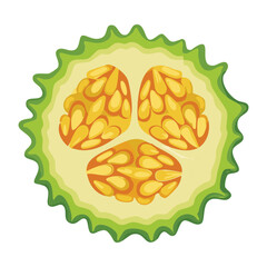Green Fruit Slice Showing Seeds and Pulp - Vector Illustration