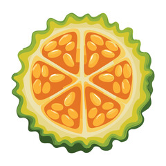 Exotic Fruit Slice Cross Section - Vector Illustration