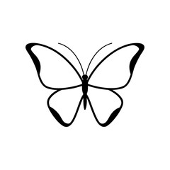 faint gold butterfly on powder grey