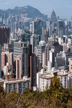 Hong Kong's towering cityscape from a hilltop perspective