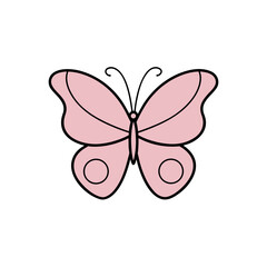 butterfly on white background