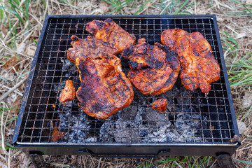 Close-up of juicy pork pieces being cooked on a portable, small grill. Grill on the grass. Cooking meat on coals.