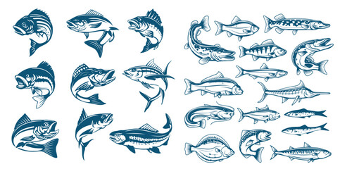 Fish illustrations on white background. Carp, bass fish, trout, salmon, sword fish icons. Design elements for label, emblem. Vector illustration.