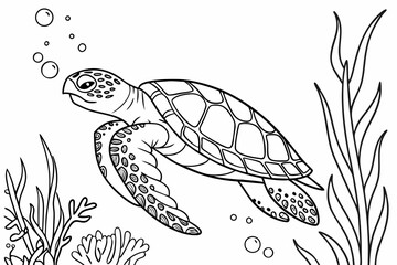 coloring page line art the hawksbill turtle black vector