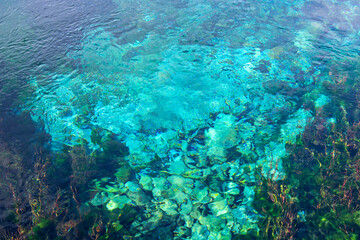 Turquoise Waters Revealing Vibrant Coral Reefs