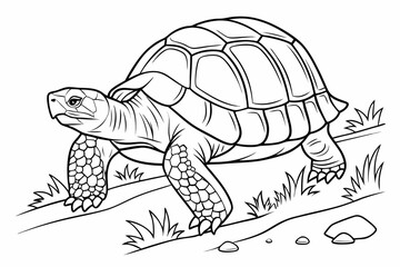 coloring page line art the snapping turtle black vector