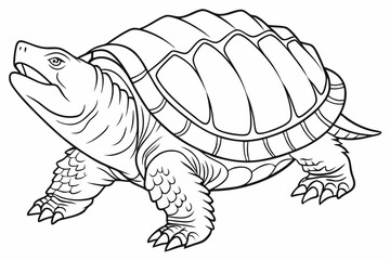 coloring page line art the snapping turtle black vector