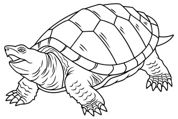 coloring page line art the snapping turtle black vector