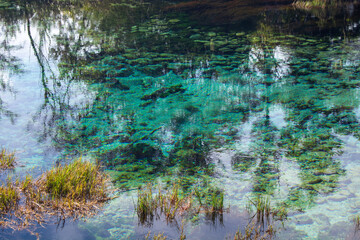 Serene Reflection in Clear Turquoise Water
