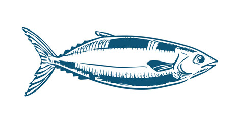 Fish illustrations on white background. Carp, bass fish, trout, salmon, sword fish icons. Design elements for label, emblem. Vector illustration.