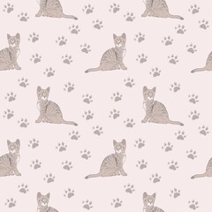 gray tabby kittens and paw prints on a soft blush pink or pale rose background
