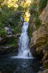 Serene Waterfall in Lush Greenery