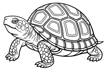 coloring page line art the box turtle black vector