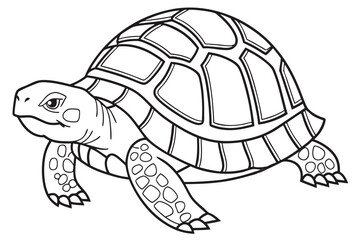 coloring page line art the box turtle black vector