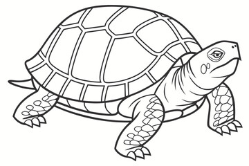 coloring page line art the box turtle black vector