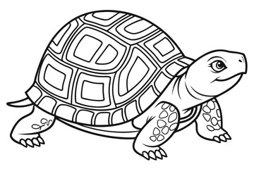coloring page line art the box turtle black vector