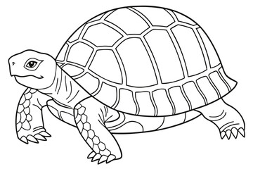 coloring page line art the box turtle black vector