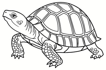 coloring page line art the box turtle black vector