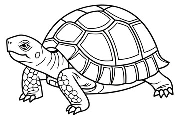 coloring page line art the box turtle black vector