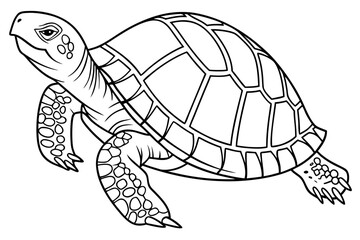 coloring page line art the box turtle black vector