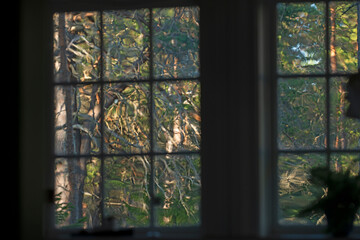 stained glass window, junibosand, norrland,sverige,sweden,summer,medelpad
