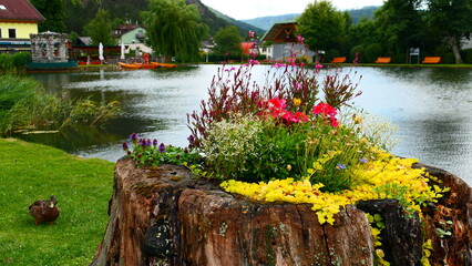 Blumenschmuck am Teich, Kurort Puchberg am Schneeberg, Wiener Alpen © cagala