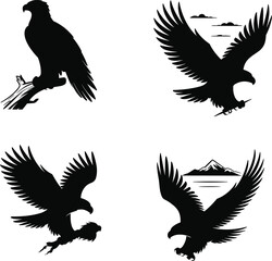 Obraz premium Four eagle silhouettes in flight and perched black and white