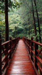 Wooden bridge path through lush forest (2)