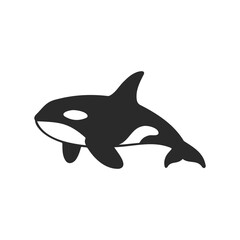 Fototapeta premium Silhouette of an orca whale with distinctive black and white pattern