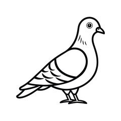 A black and white line art illustration of a pigeon with its head turned to the right, standing on its feet.