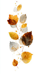An elegant autumn card mockup featuring vintage leaf motifs and serifs, creating a dynamic, floating effect. Perfect for luxury branding or nostalgic autumn promotions. The composition looks light, cl