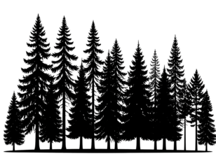 Dense Forest Tree Line Silhouette with Mixed Heights, Horizontal Composition, Transparent Background