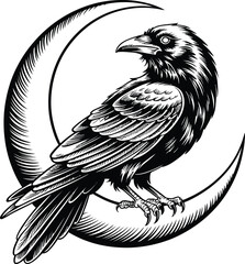 Raven on Crescent Moon Illustration crow bird