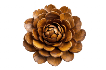 Detailed view of a textured pinecone with layered scales showing natural earthy tones isolated on transparent background