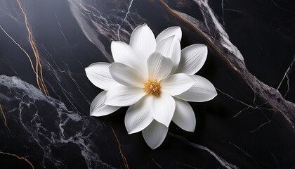 white flower on dark marble surface with elegant lines and texture