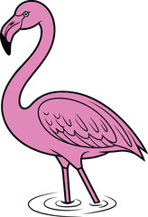 Obraz premium Flamingo standing vector illustration
