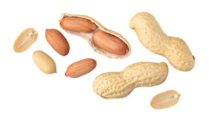 Peanuts falling on transparent background: shelled and unshelled nuts