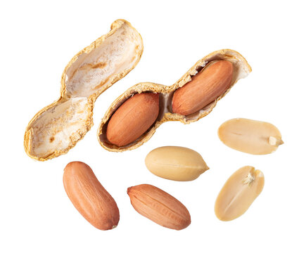 Peanuts with shell and peeled peanuts on transparent background