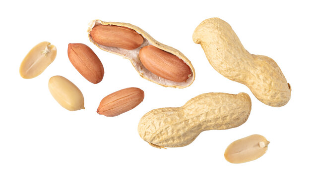 Peanuts falling on transparent background: shelled and unshelled nuts