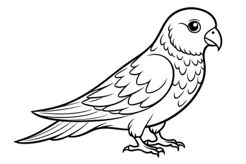 coloring page line art the lovebird black vector