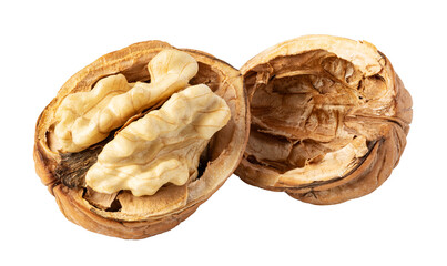 Walnut kernels showing inside broken shell on transparent background